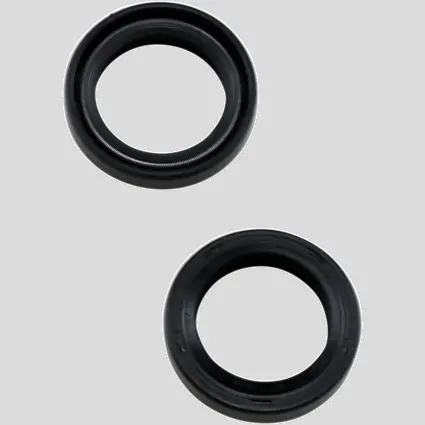 Dust Seal 41X54x11 1
