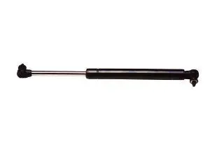 Strongarm 4564 Chrysler Pt Cruiser Tailgate 2001-04 (Pack Of 1) 1