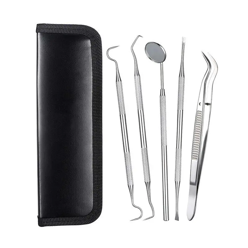 006Ab 5 Pack Dental Pick Oral Care Kit 1