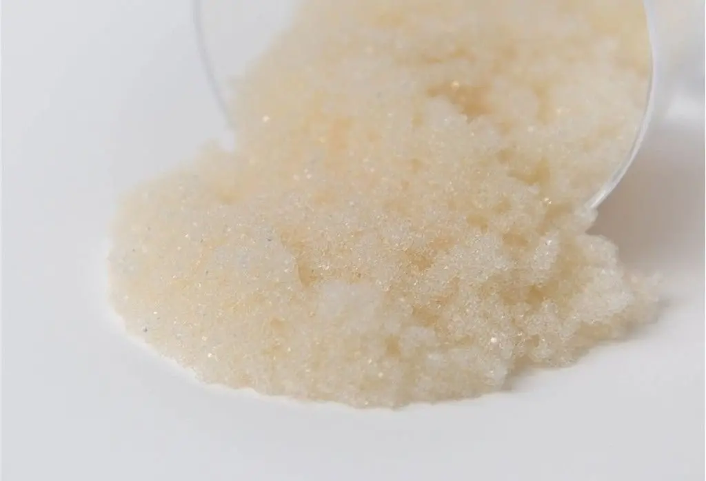 Sbacr-Hp Type I Anion Tannin Selective - 1 Cu/Ft 1